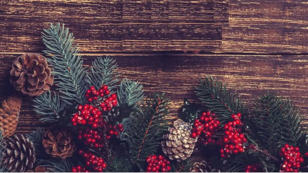 Pine branches, pine cones and red berries laid on a wooden table